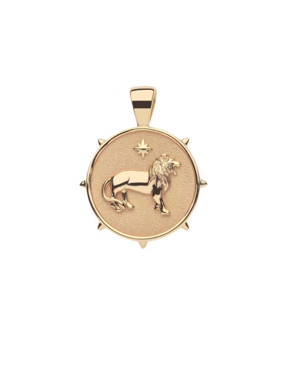Jane Win Courage Small Pendant Coin with Chain - Picture 4 of 11